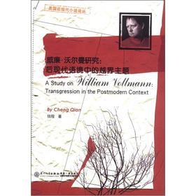 A Study on William Vollmann: Transgression in the Postmodern Context (Paperback)