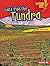 Let's Visit the Tundra (Lightning Bolt Books ® — Biome Explorers)