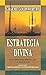 Estrategia divina by Graeme Goldsworthy