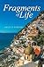 Fragments of Life