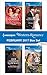 Harlequin Western Romance February 2017 Box Set: The Texas Valentine Twins\Her Cowboy Lawman\The Cowboy's Valentine Bride\A Cowboy in Her Arms