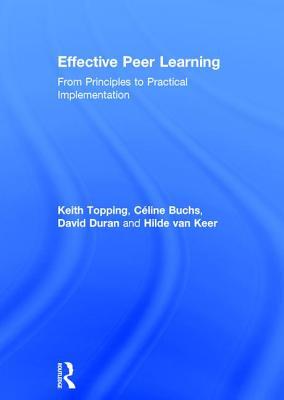 Effective Peer Learning: From Principles to Practical Implementation