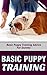 Basic Puppy Training: Basic Puppy Training Advice for Dummies