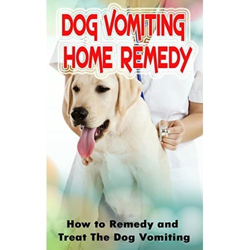 How Do You Treat Vomiting In Dogs