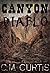 Canyon Diablo by C.M. Curtis