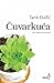 Čuvarkuća by Tarik Đođić