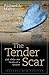 The Tender Scar by Richard L. Mabry The Tender Scar by Richard L. Mabry