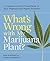 What's Wrong with My Marijuana Plant? by David Deardorff