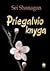 Priegalvio knyga