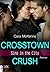 Crosstown Crush (Sins in the City, #1)
