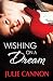 Wishing on a Dream
