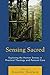 Sensing Sacred: Exploring the Human Senses in Practical Theology and Pastoral Care (Studies in Body and Religion)