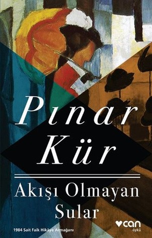 Akışı Olmayan Sular (Paperback)