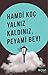 Yalnız Kaldınız, Peyami Bey!