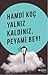 Yalnız Kaldınız, Peyami Bey! by Hamdi Koç
