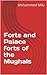 Forts and Palace forts of t...