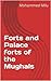 Forts and Palace forts of the Mughals by Mohammed Milu