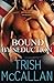 Bound by Seduction (Red-Hot SEALs Novellas)