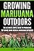 Marijuana: Growing Marijuan...
