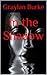 IN THE SHADOW