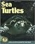 Sea Turtles