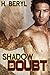 Shadow of Doubt