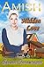 Amish Hidden Love