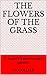 Below us the Front (The Flowers of the Grass Book 2)