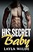 HIS SECRET BABY (Romance Novella)