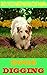 Dogs Digging: Easy Tips to Make Your Dog Stop Digging