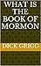 WHAT IS THE BOOK OF MORMON by Dick Grigg