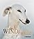 Windhunde: Schnell, sanft, liebenswert (Hunderassen) (German Edition)