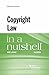 Copyright Law in a Nutshell (Nutshells)