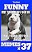 Memes : Funny Memes 2017 x ...
