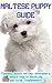 Maltese Puppy Training Guide: Training, Breed History, Appearance, Unique Health Problems, and Social Temperament