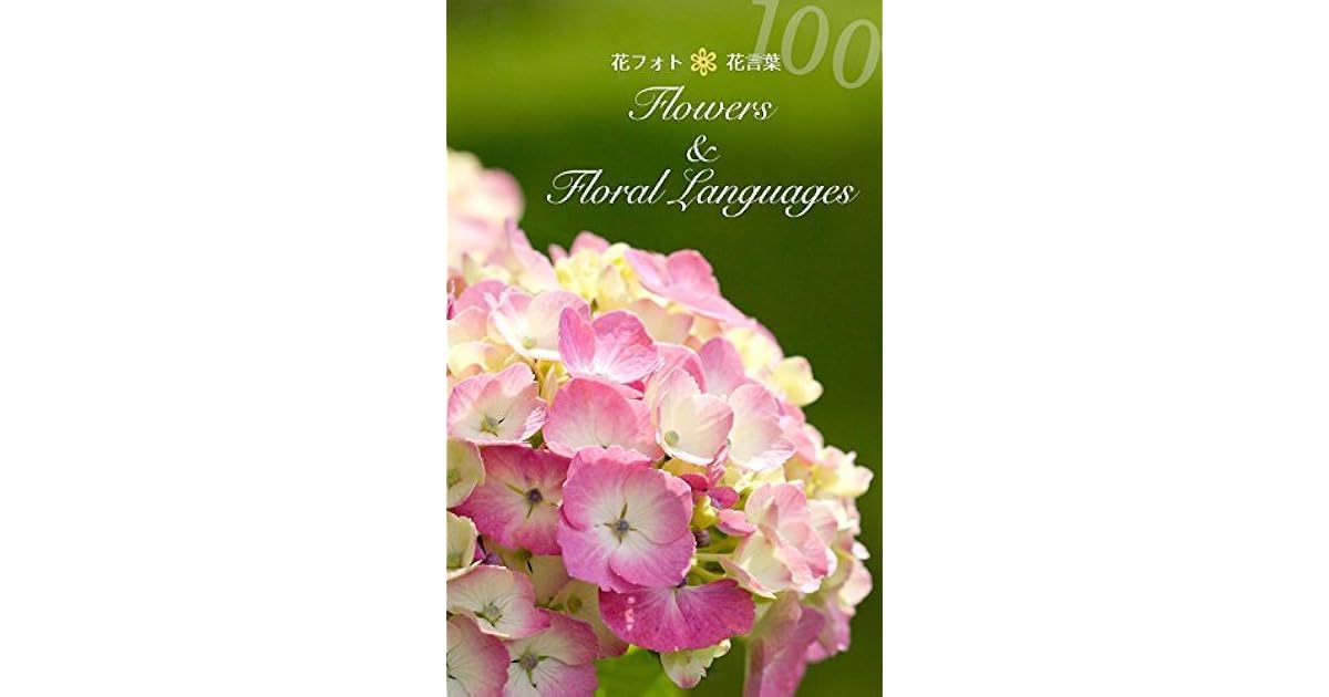 Flowers And Floral Languages Hana Photo Hana Kotoba By Shinobu Soga