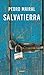 Salvatierra by Pedro Mairal