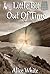 Little Bit Out Of Time