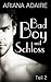 Bad Boy mit Schloss: Dark Passion 2 (German Edition)