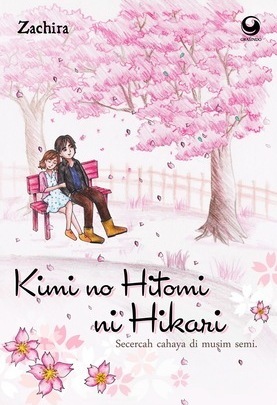Kimi no Hitomi ni Hikari