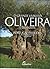 O Grande Livro da Oliveira e do Azeite