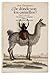 ¿De dónde son los camellos?: Creencias y verdades sobre las especies invasoras
