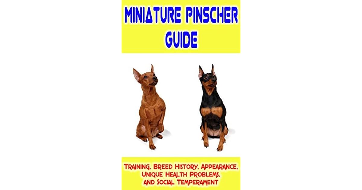 Miniature Pinscher Training Guide Training, Breed History, Appearance