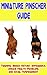 Miniature Pinscher Training Guide: Training, Breed History, Appearance, Unique Health Problems, and Social Temperament