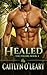 Healed (The Found, #3)