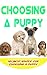 Choosing A Puppy: My Best Advice for Choosing a Puppy