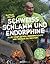 Schweiß, Schlamm und Endorphine: Alles über Extrem-Hindernisläufe und wie man sie meistert - In 12 Wochen fit für den Start (German Edition)