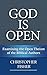 God is Open: Examining the ...