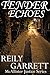 Tender Echoes (The McAllister Justice Series, #0.5)
