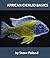 African Cichlid Basics